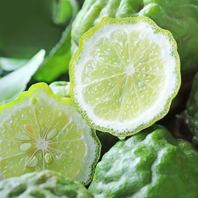 NEST New York bergamot note