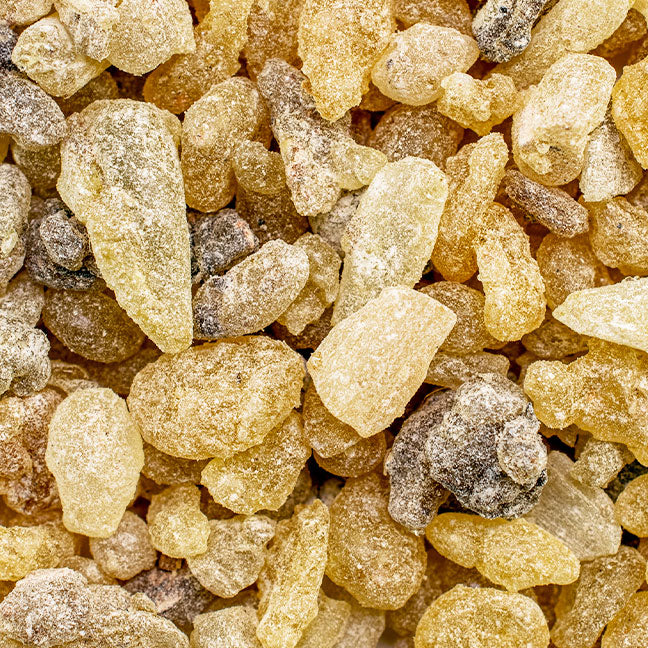NEST New York frankincense note